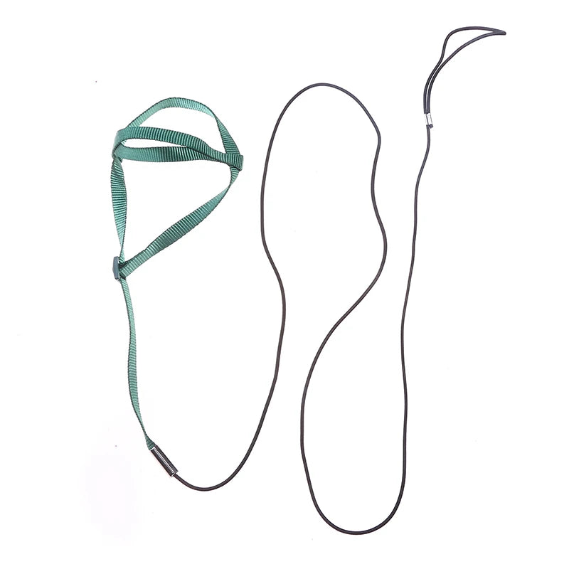 Bird Harness/Leash Activities