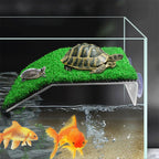 Turtle Climbing Platform/Sunbathing