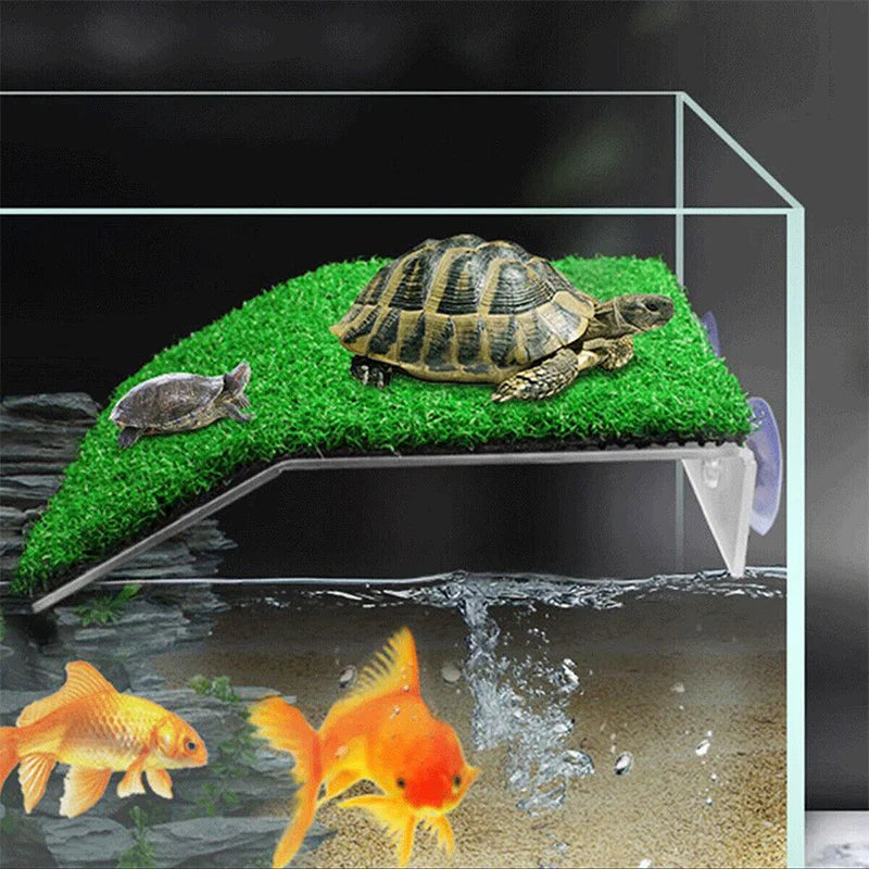 Turtle Climbing Platform/Sunbathing