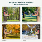 Smart Bird Feeder