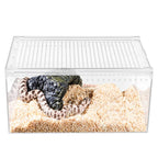 Clear Reptile Terrarium, Stackable