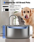 Stainless Steel Pet Water Fountain