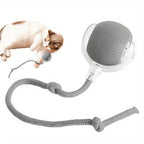 Automatic Interactive Cat Ball