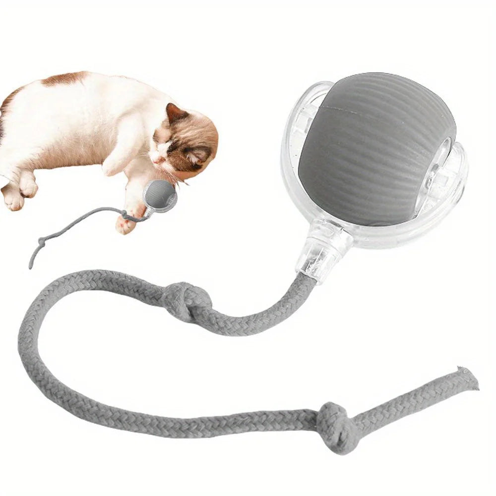 Automatic Interactive Cat Ball