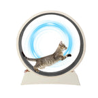 Cat Exercise Wheel, Treadmill