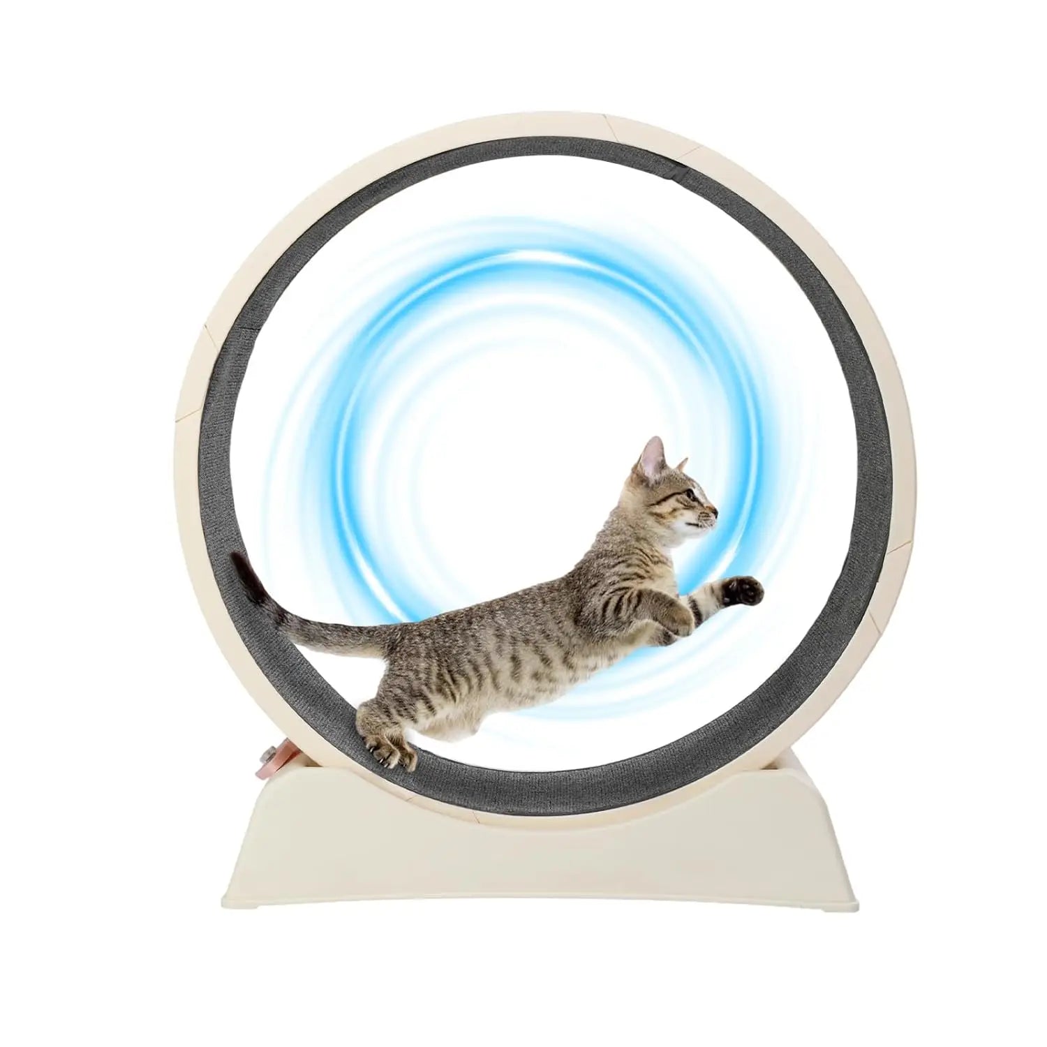 Cat Exercise Wheel, Treadmill