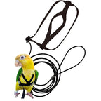 Bird Harness/Leash Activities