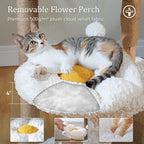 Solid Wood Cat Tree