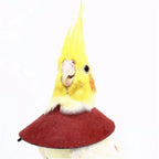 Bird Accessories Anti-bite