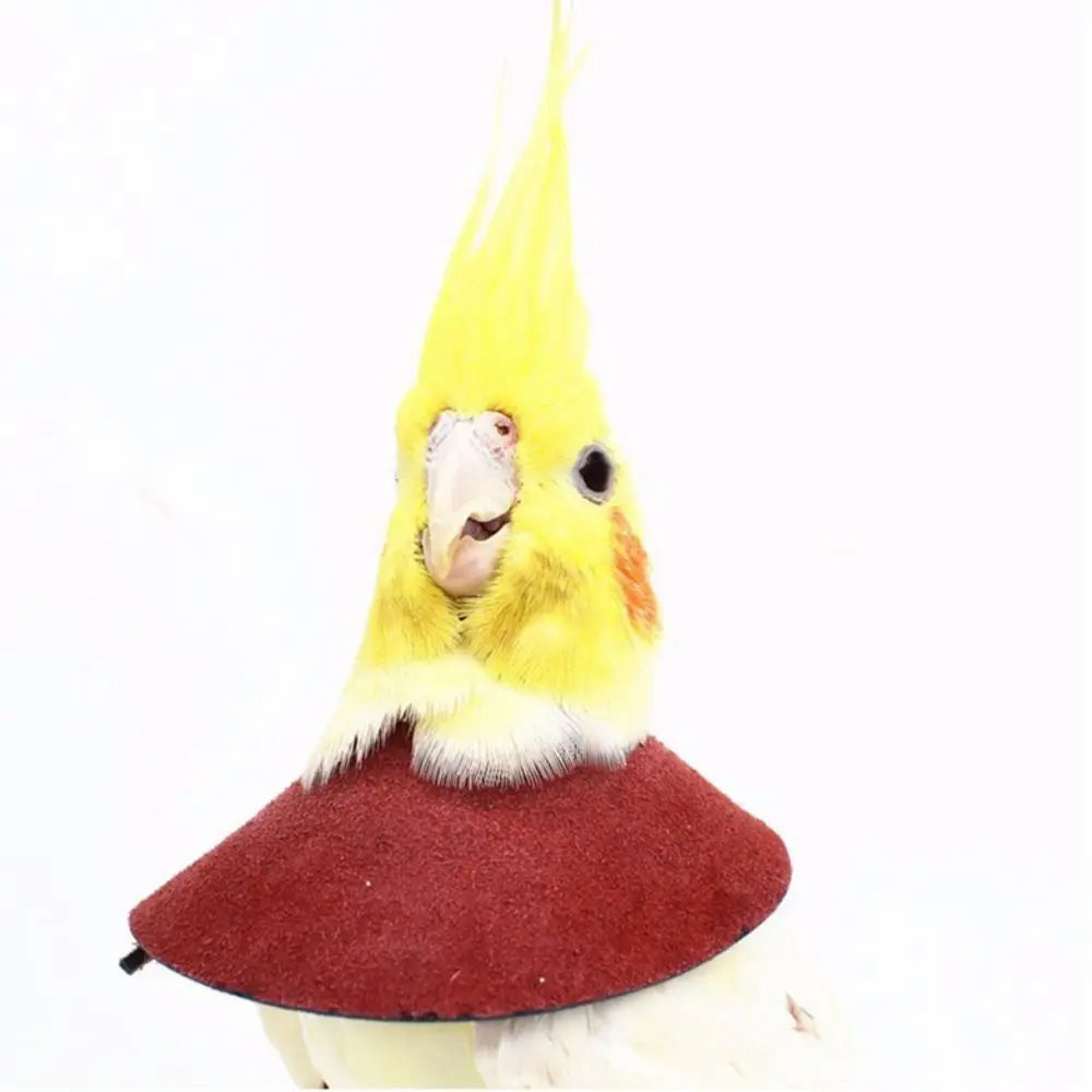Bird Accessories Anti-bite