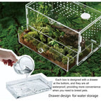 Acrylic Clear Reptile Habitat Enclosure