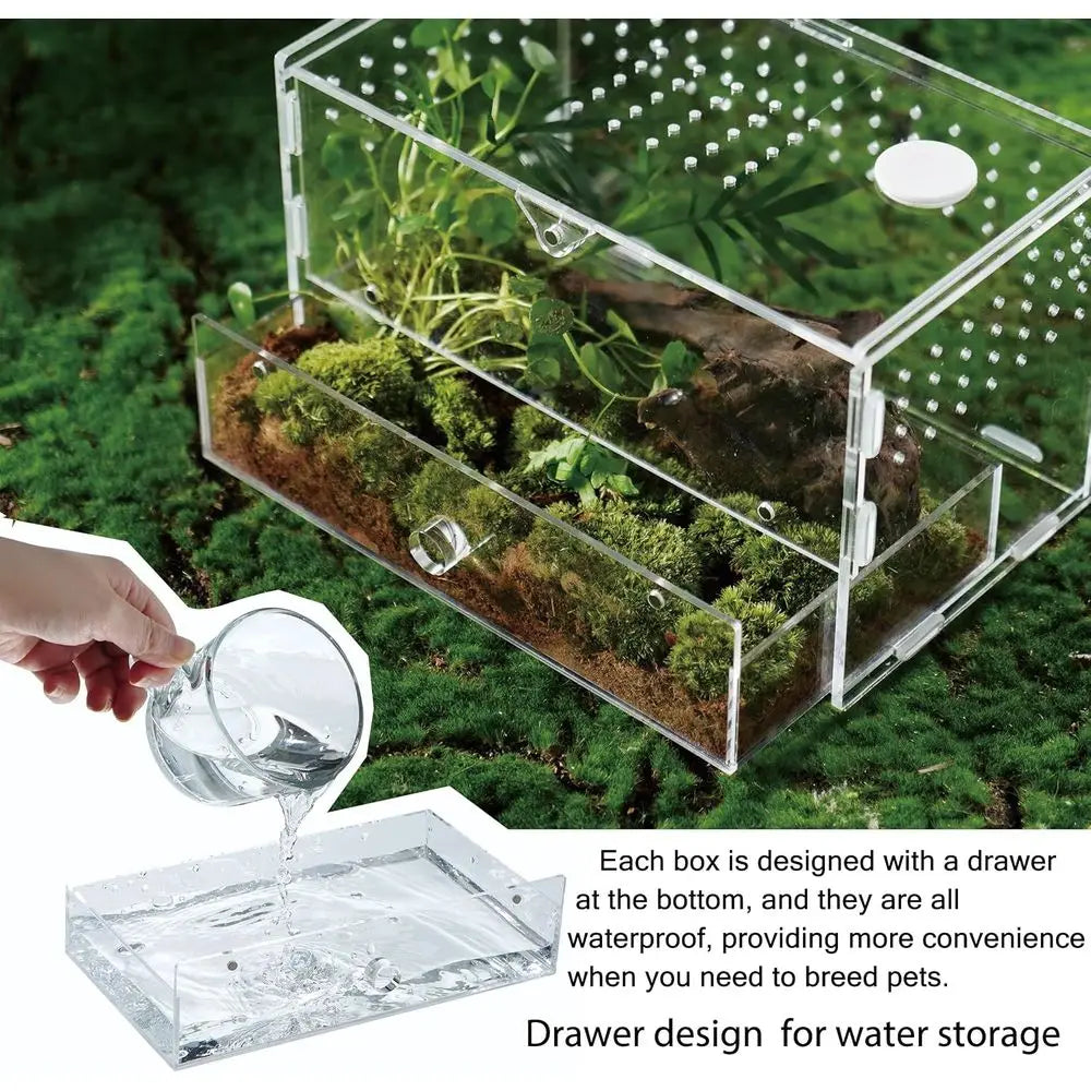 Acrylic Clear Reptile Habitat Enclosure