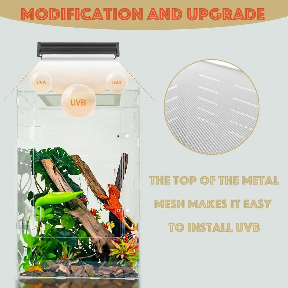 Reptile Tank 10 Gallon