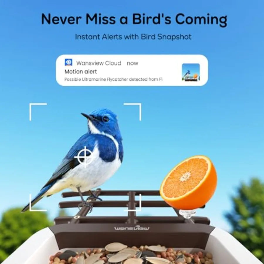 Bird Feeder with Camera