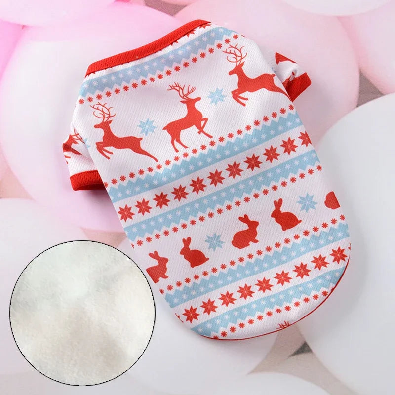 Cute Print Cat Clothes Suit