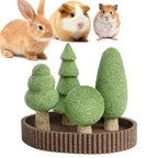 Small Pet Dental Health Toys