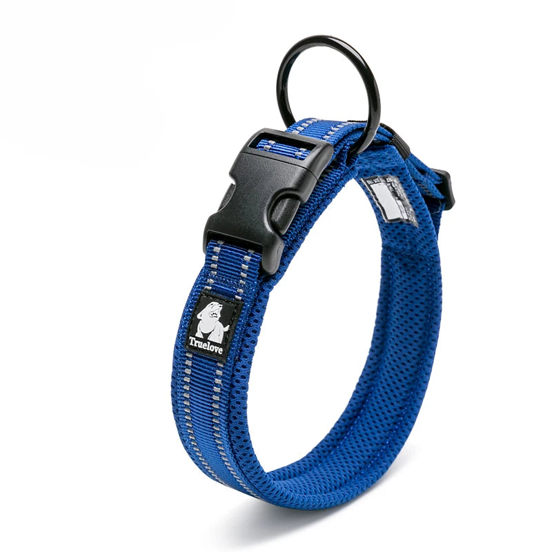 Dog Walking Collar with Buckle