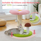 Small Cat Scratching Posts
