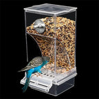 No Mess Bird Feeders