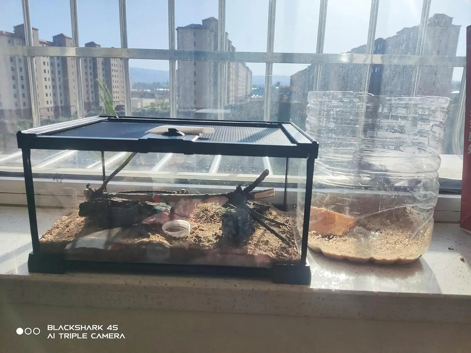 Mini Glass Terrarium Tank