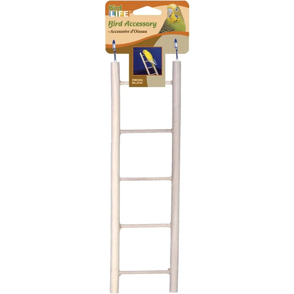 Small Bird Starter Kit