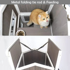 outdoor cat shelter