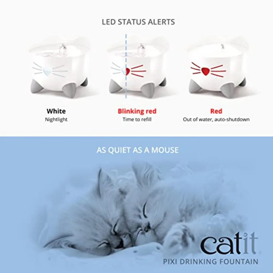 Cat Drinking Fountain