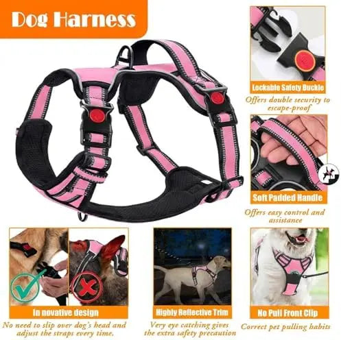 Training Kit for Dogs