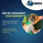 Adjustable Harness for S/M/L Dogs