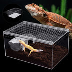 Clear Reptile Terrarium, Stackable