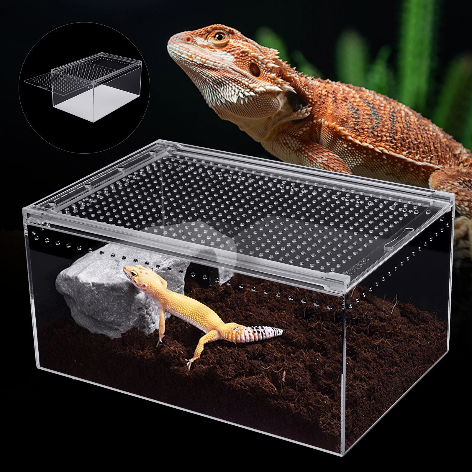 Clear Reptile Terrarium, Stackable