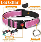 Training Kit for Dogs