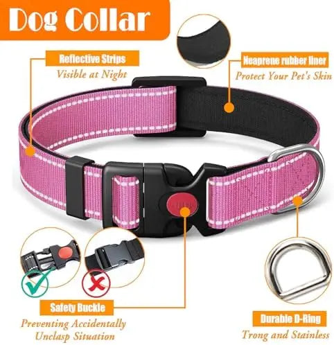 Training Kit for Dogs