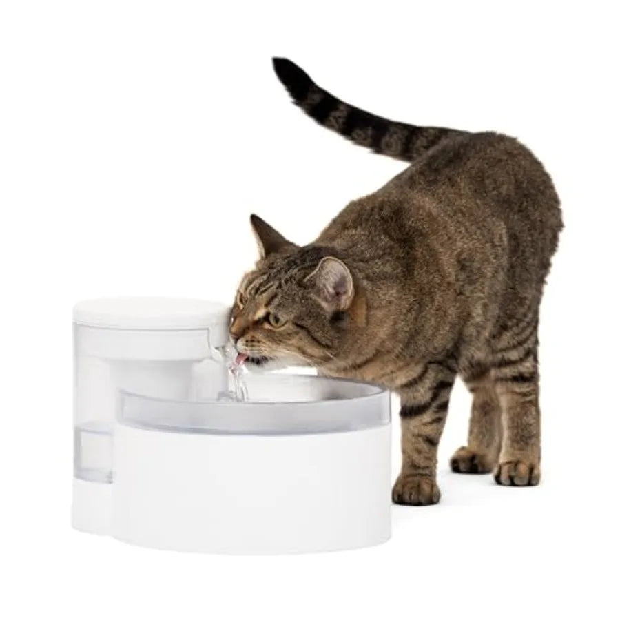 Cat Fountain - Pump-Free Design