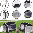 Bearded Dragon Travel Carrier
