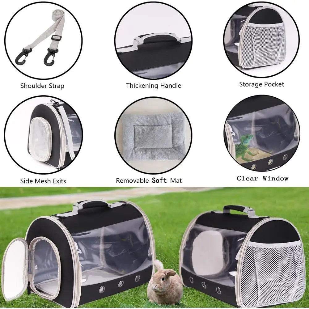 Bearded Dragon Travel Carrier