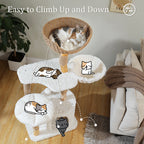 Solid Wood Cat Tree