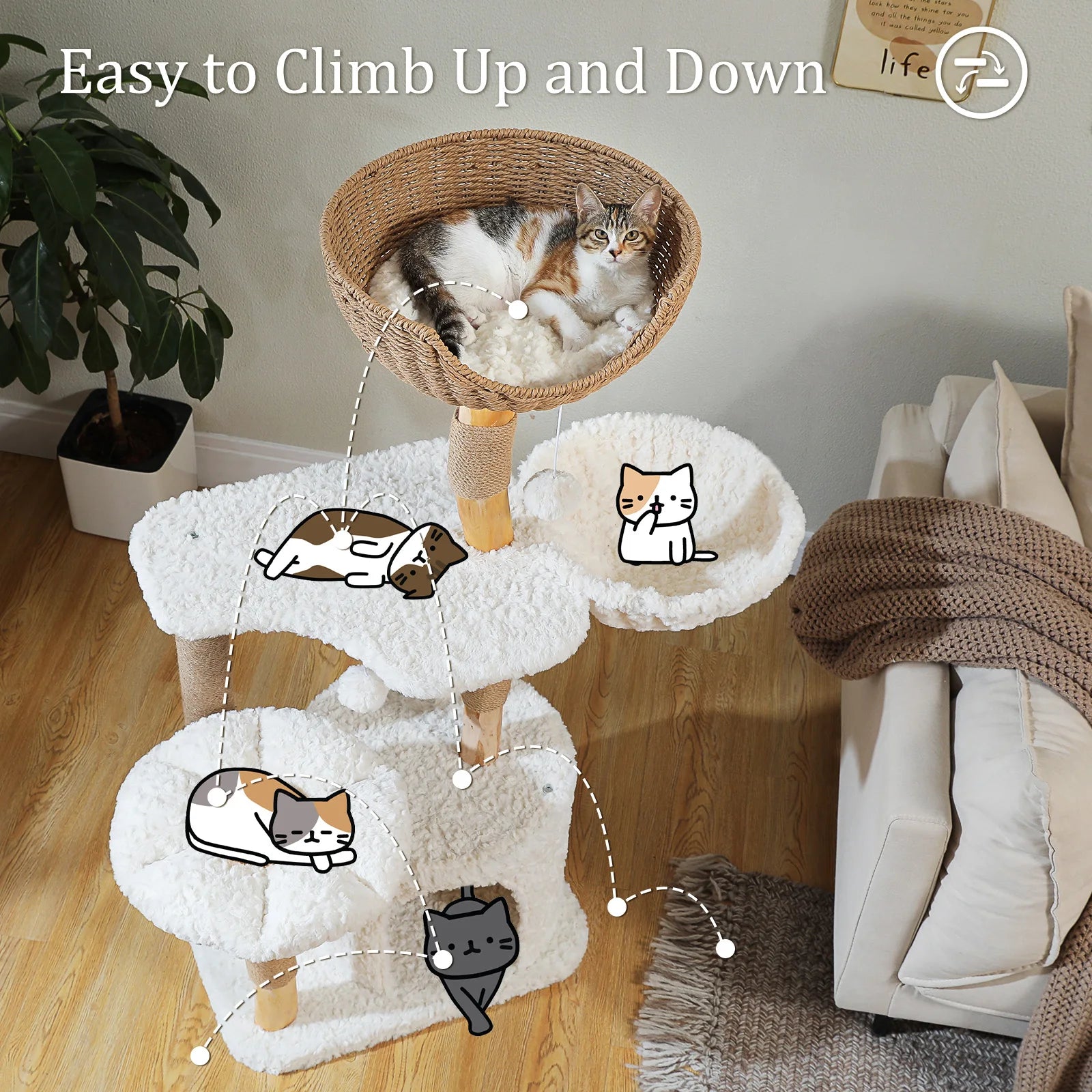 Solid Wood Cat Tree