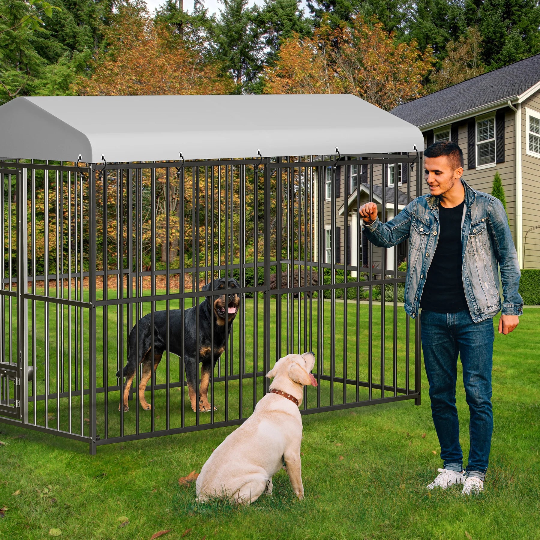 Heavy Duty Dog Kennel