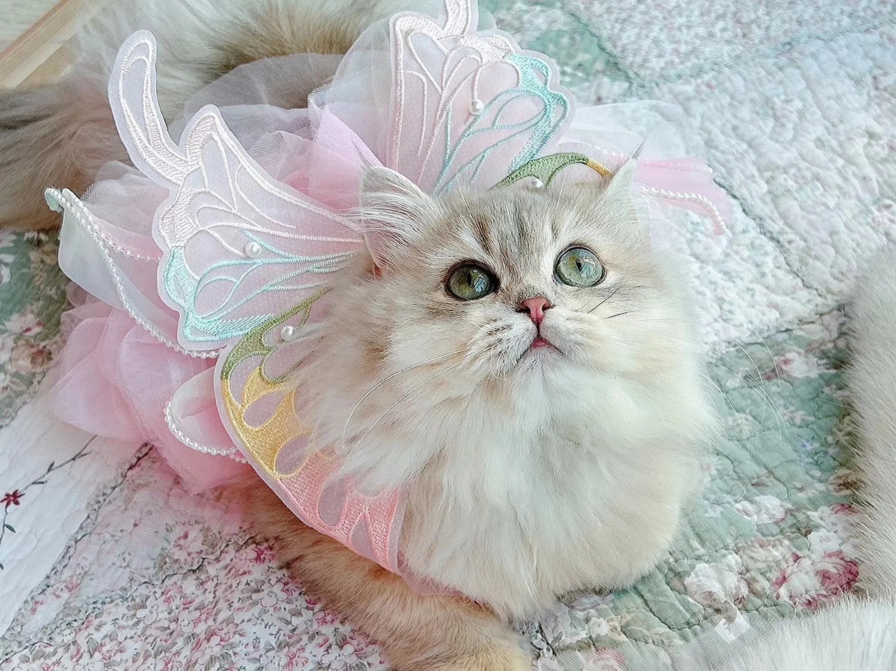Dog/Cat spring princess Dress