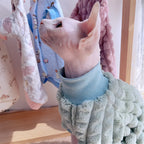 Elegant Warm Sphynx Cat Turtleneck
