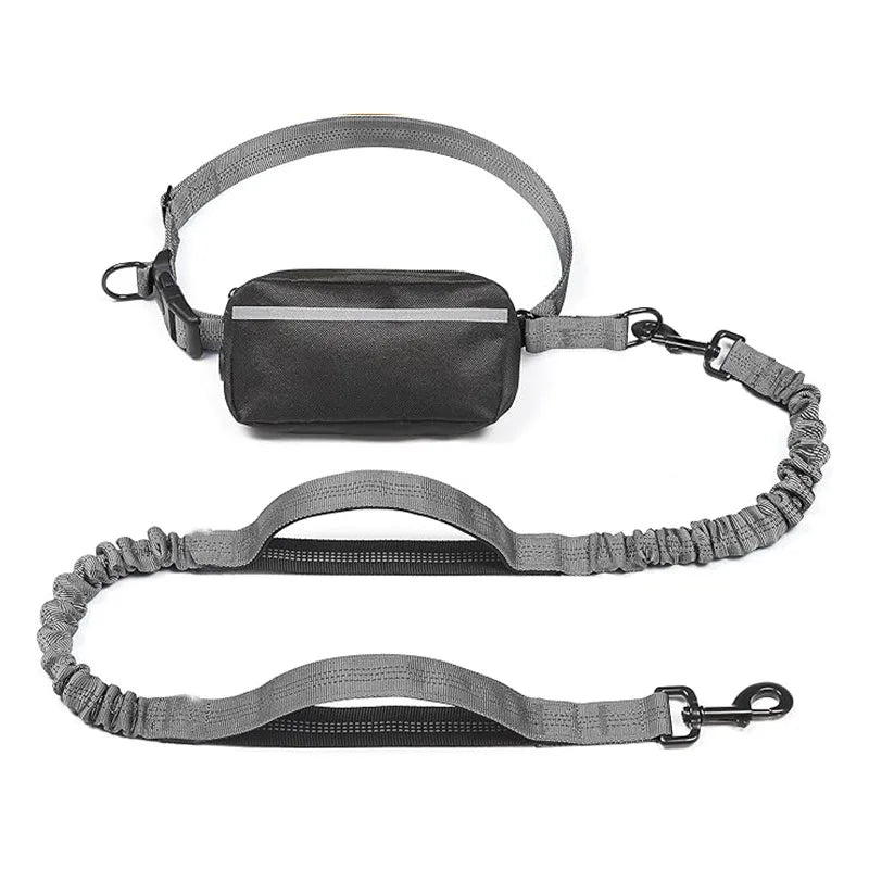 Reflective Dog Running Lead
