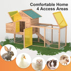 Chicken Coop/2-4 Chickens