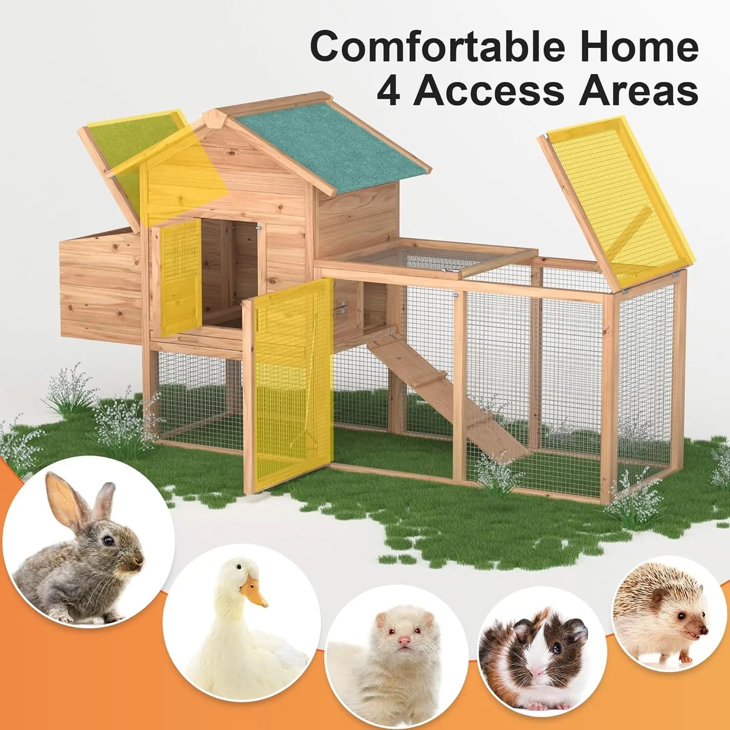 Chicken Coop/2-4 Chickens