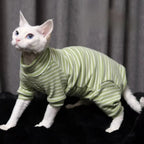 Hairless cat clothes