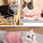 Dog Pajamas Summer