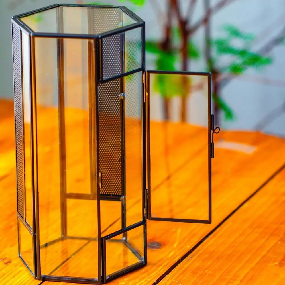 Small Glass Enclosure for Jumping Spiders