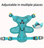 No Pull Dog Harness and Leash Set