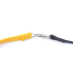 Bird Harness/Leash Training