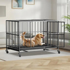 48 Inch Heavy Duty Dog Crate